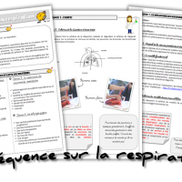 Séquence sciences respiration