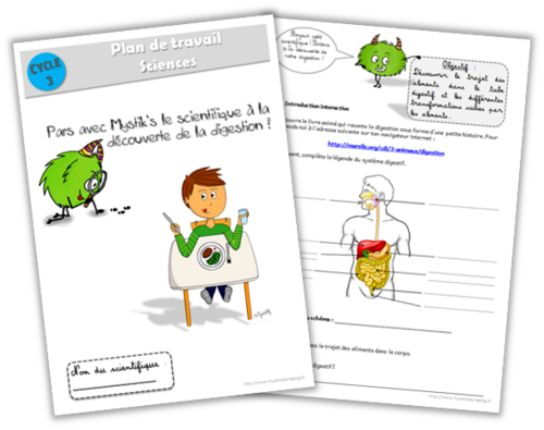 exercices sur le système digestif - Geographie CE1, CP - La Salle