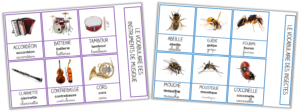 cartes de nomenclature